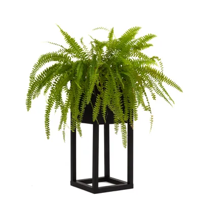 Immagine prodotto di Supporto per vasi da fiori altezza 50 cm - Saldato, pronto per l'uso - Supporto per piante in metallo - Mensola per piante - Mensola per fiori - Gradini per piante - Metallo