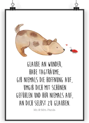 Produktbild von Mr. & Mrs. Panda Bild Hund Marienkäfer DIN A5 - Weiß - Geschenk, Zuversichtlich, Plakat, Mischlingshund, drucke, Wandbild, Mischlinghund, Positiv, wanddeko, Kunstdruck
