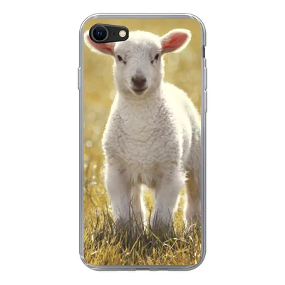 Produktbild von MuchoWow® Handyhülle Schutzhülle Hülle für iPhone 8 Lamm - Gras - Sonne Silikon Softcase Handy Hülle - Schutzhaube