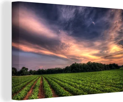 Produktbild von OneMillionCanvasses® - Leinwandbilder - 140x90 cm, Sonne - Himmel - Wolken, Wandbilder Kunstdruck Wanddekoration