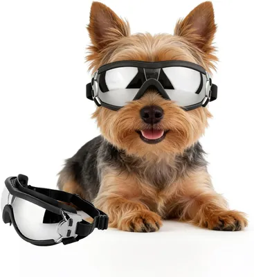 Imagen del producto de Gafas para perros - Talla S - PVC - A prueba de viento - Plateado