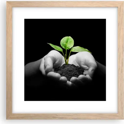 Produktbild von Gerahmtes Poster - Rahmen in heller Eiche - Natur Pflanze Wissenschaft Schutz - 30x30 cm - Wand Bild - Wanddeko - Wandbilder - Wandposter - Bilderrahmen - Bilder - Kunstdruck - P2NAC30x30-2188