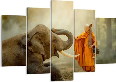 Produktbild von Bild auf Leinwand - Leinwandbild - Elefant Mönch Stoßzahn - 150x100cm - Wand Bild - Wanddeko - Leinwanddruck - Bilder - Kunstdruck - Wanddekoration - Leinwand bilder - Wandkunst - EA150x100-3484