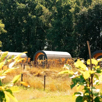Produktbild von Jochen Schweizer Außergewöhnlich Übernachten in der NestLodge Oranienburg für 2 (2 Nächte); Erlebnis verschenken oder selbst erleben; Gutschein gültig für 2 Personen