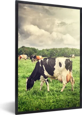 Produktbild von MuchoWow® Gerahmtes Poster Kühe - Weide - Natur - Tiere - Landschaft 60x90 cm - Poster mit Schwarzem Bilderrahmen Wandposter Rahmen Foto Bilder - Kunst