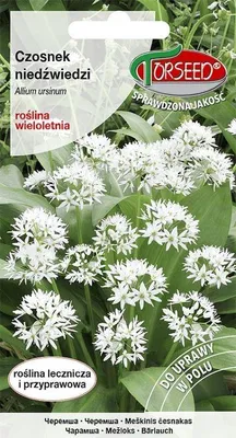 Produktbild von Bärlauch, Allium ursinum 0,5 g - Torseed