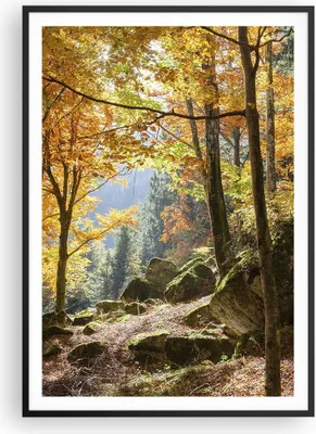 Produktbild von Gerahmtes Poster - Schwarzer Rahmen - Herbst berg wald natur - 70x100 cm - Wand Bild - Wanddeko - Wandbilder - Wandposter - Bilderrahmen - Bilder - Kunstdruck - Wandbild - P2BPA70x100-2713