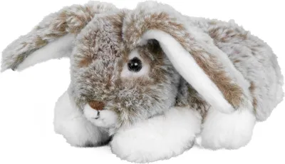 Produktbild von Inware Schmusi Hase Plüschtier 19 cm grau liegend