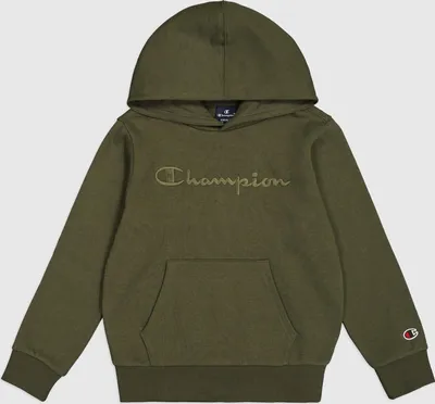 Produktbild von CHAMPION Hooded Sweatshirt GS508 FON M