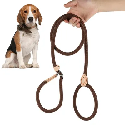 Imagen del producto de Correa para perros con sistema antitracción y collar ajustable