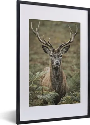 Produktbild von MuchoWow® MuchoWow® Gerahmtes Poster Hirsche - Geweihe - Blätter 40x60 cm - Poster mit zchwarzem Bilderrahmen - Poster in Rahmen