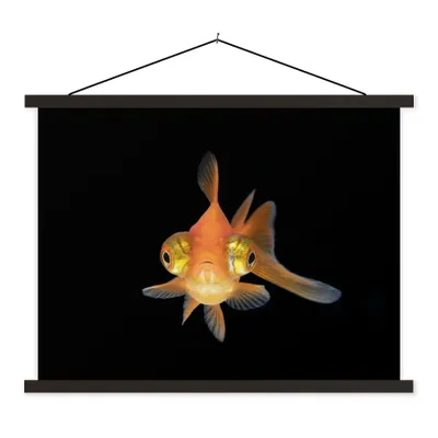 Produktbild von MuchoWow® Textilposter Goldfisch - Meerestiere - Augen 40x30 cm mit schwarzem Rahmen - Dekorationen