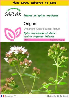 Image de SAFLAX Ensemble de culture - Origan - 600 graines - Origanum