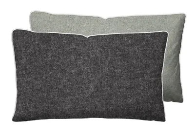 Two rectangular pillows are shown, one in front of the other.
