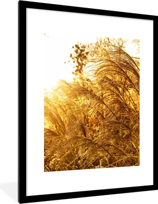 Produktbild von MuchoWow® Gerahmtes Poster Pampasgras - Sonne - Gras 60x80 cm - Poster mit Schwarzem Bilderrahmen Wandposter Rahmen Foto Bilder - Wohnzimmer - Dekorationen - Prämie