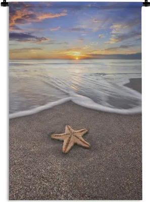Produktbild von MuchoWow® Wandteppich Wandbehang Seestern - Meer - Sonne 60x90 cm Tapisserie Dekoration Wandtuch - Foto-Teppich - Abwaschbar