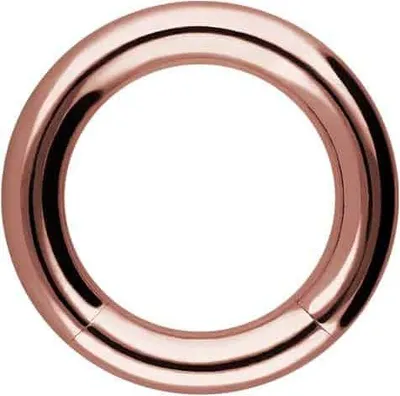 Produktbild von Intim-Piercing, Septum Piercing Chirurgenstahl Segmentring RoséGold Innendurchmesser: 6mm + Stabstärke: 1,6mm