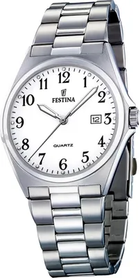 Image de Festina montre homme F16374/1 acier inoxydable montre bracelet classique argent D2UF16374/1