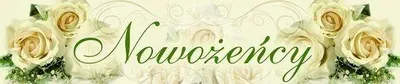 Produktbild von Hochzeitskennzeichen 50x11,5 cm, 1 Stück TK22