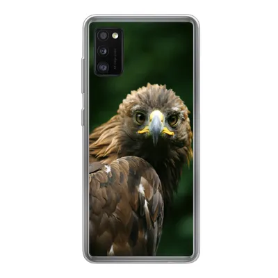 Produktbild von MuchoWow® Handyhülle Schutzhülle Hülle für Samsung Galaxy A41 Adler - Braun - Raubvogel Silikon Softcase Handy Hülle - Mobiltelefon