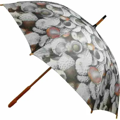 Produktbild von Regenschirm - Stockschirm - Eicheln Schirm