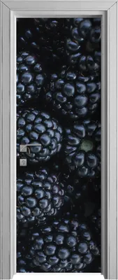 Produktbild von Tür Selbstklebende 70x210 cm Türfolie Türtapete Klebefolie - Brombeere Obst