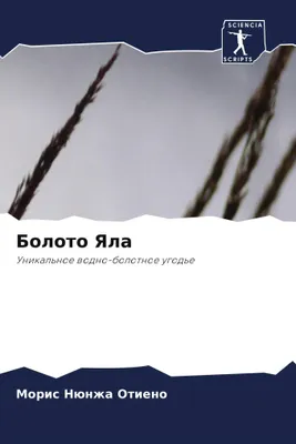 Produktbild von Boloto Yala