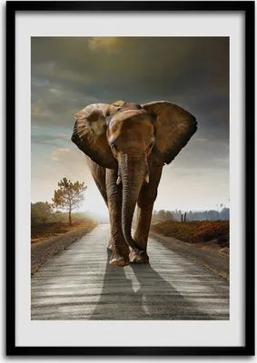 Produktbild von Bild - Bilderrahmen - Foto - 70 cm x 100 cm - MDF - Rahmen - Wandkunst - Schlendernder Elefant