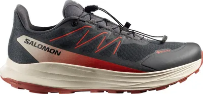 Produktbild von SALOMON SHOES ALPHARIDE 2 GTX Asphal/Arabia/Rain 000 000 47.5