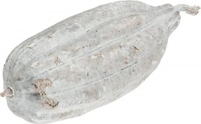 Produktbild von Luffa Frucht weiß ca. 10-15cm | Schwammgurke