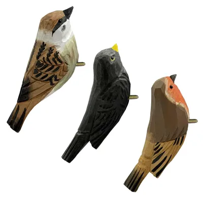 Image de Lot de 3 crochets murauxReproductionés de motifs d'oiseaux, pour enfants