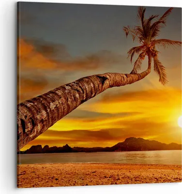 Produktbild von Bild auf Leinwand - Leinwandbild - Palme Landschaft Sonne - 60x60cm - Wand Bild - Wanddeko - Leinwanddruck - Bilder - Kunstdruck - Wanddekoration - Leinwand bilder - Wandkunst - AC60x60-0162