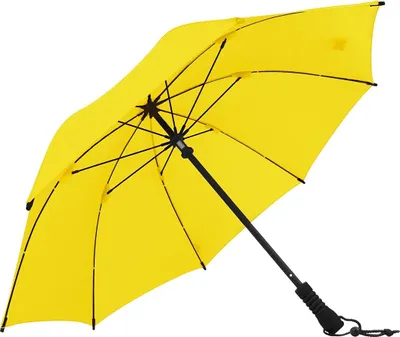 Produktbild von Euroschirm Swing 7374
