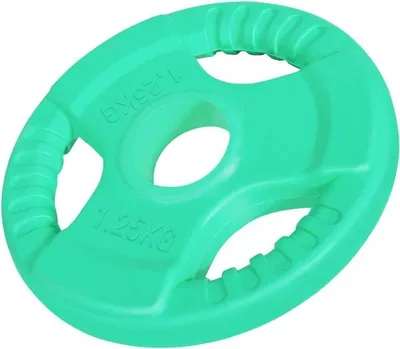 A single green weight plate with handles is shown against a white background.
