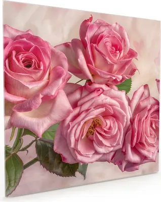 Produktbild von Küchenrückwand Spritzschutz Glas mit Motiv Rosenblütenpracht 40 x 40 cm