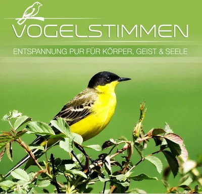 Obrázok produktu pre Vogelstimmen-Entspannung für