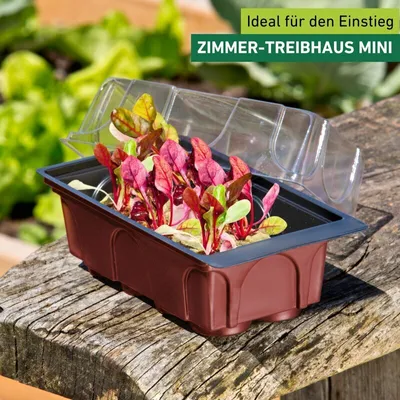 Produktbild von Mini-Gewächshaus mit 8 Quelltabletten