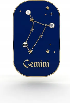Image de PINETS Signe astrologique Pin Gémeaux