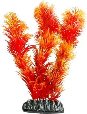 Image de Plante en plastique « Cuba Flamingo Mix » 9 cm