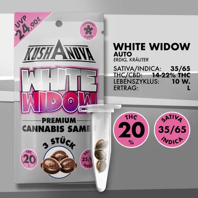 Image de Graines de cannabis Kushanova - White Widow