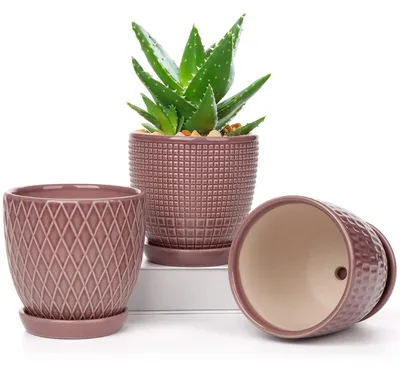 Zdjęcie produktu dla Zestaw 3 doniczek ceramicznych z otworami drenażowymi