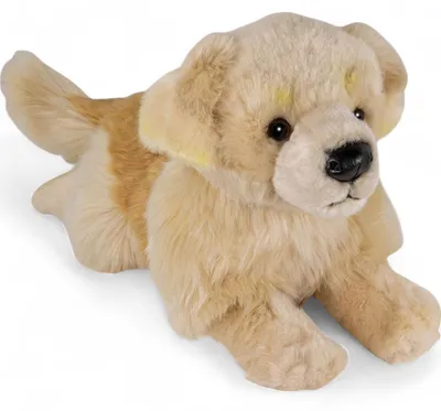 Immagine prodotto di Carl Dick Golden Retriever, cane, ca. 30cm 1269004 Peluche, peluche, peluche