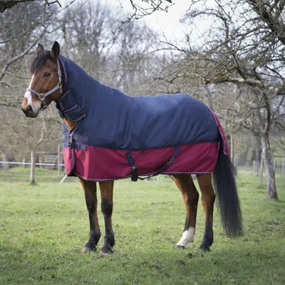 Produktbild von Equithème Tyrex 1200D 0g Combo - navy/burgundy