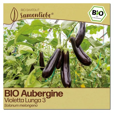Produktbild von Samenliebe  Aubergine Samen | Violetta Lunga 3 - violett & groß, lang - samenfestes  Saatgut