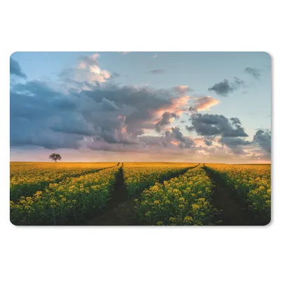 Produktbild von MuchoWow® Schreibtischunterlage Blumen - Gelb - Sonnenuntergang 60x40 cm - XXL Mauspad - Großes Mauspad