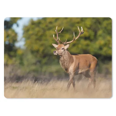 Produktbild von MuchoWow® Mauspad Mousepad Tiere - Hirsche - Geweihe - Waldtiere - Natur 40x30 cm - Mousepads - Maus Mat - Pad - Mausunterlage - Anti Rutsch