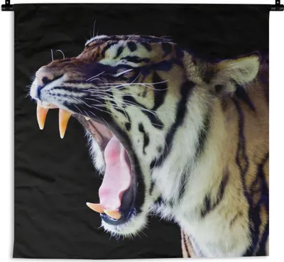 Produktbild von MuchoWow® Wandteppich Wandbehang Tiger - Zähne - Porträt 60x60 cm Tapisserie Dekoration Wandtuch - Dekorationen - Wand Decke