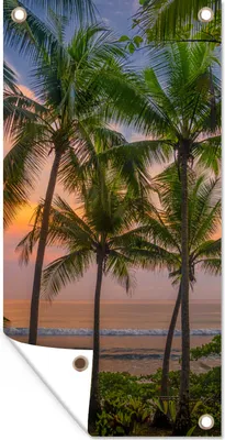 Produktbild von MuchoWow® 80x160 cm Outdoor-Poster Gartendeko Sichtschutz Garten Poster für den Garten  Palme - Tropisch - Meer
