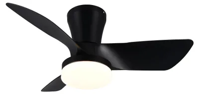 Immagine prodotto di TRIO Reality R64412132 RANDERS Ventilatore da soffitto con luce D760 mm LED SMD 20 W/2500 lm 2700-6000 K nero, telecomando