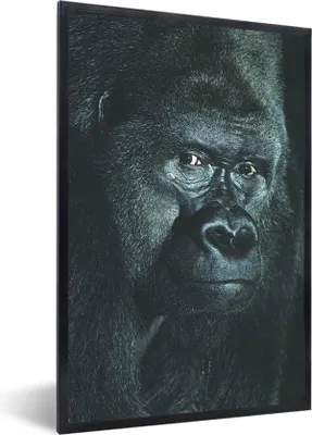 Produktbild von MuchoWow® Gerahmtes Poster Nahaufnahme eines großen Gorillas 20x30 cm - Poster mit Schwarzem Bilderrahmen Wandposter Rahmen Foto Bilder - Drucken - Bilder Poster im Rahmen